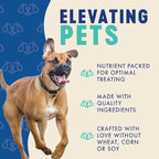 Finley's Blueberry Coconut Dog Biscuit Treats, All Natural, Limited Ingredient Dog, 12 Ounce (Pack of 1)