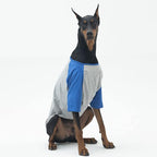 Dog Shirt for Small and Large Dogs Raglan Cotton T-Shirts Soft Breathable Dog Shirts pet Clothes Gray Series (X-Large, Gray/Blue)