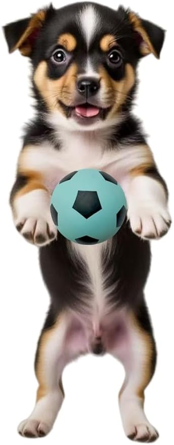 4 Pack Squeaky Balls for Dogs, 2.4 Inch Eco-Friendly Rubber Dog Squeaky Toy, Colorful Football Pattern Squeaky Toys for Dogs (Orange, Green, Pink, Light Blue)
