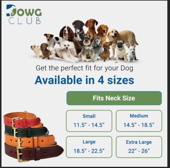 Genuine Leather Dog Collar | Full Grain, Heavy Duty, Comfortable, Padded, Strong | Best for Pups, Small, Medium, Large & XL Breeds (X-Large (Fit Neck Size 22"-26"), Black)