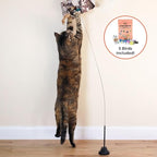 Whiskertons Interactive Bird Simulation Cat Toy Set, Interactive Cat Toys for Indoor Cats, Cat Feather Toy, Self-Holding Suction Base, 5 Catnip Birds, Feathers & Bells (5 Replacement Catnip Birds)