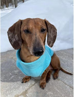 Gooby Zip Up Fleece Dog Sweater - Turquoise, 2X-Large - Warm Pullover Fleece Step-in Dog Jacket with Dual D Ring Leash for Small to Medium Dogs