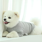 Dog Shirt for Small Dogs Plain T-Shirts Soft Breathable Dog Cotton Shirt pet Clothes (X-Small, Gray)