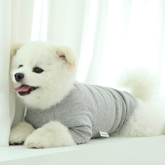 Dog Shirt for Small Dogs Plain T-Shirts Soft Breathable Dog Cotton Shirt pet Clothes (Small, Gray)