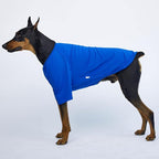 Dog Shirt for Small Dogs Plain T-Shirts Soft Breathable Dog Cotton Shirt pet Clothes (4X-Large, Blue)
