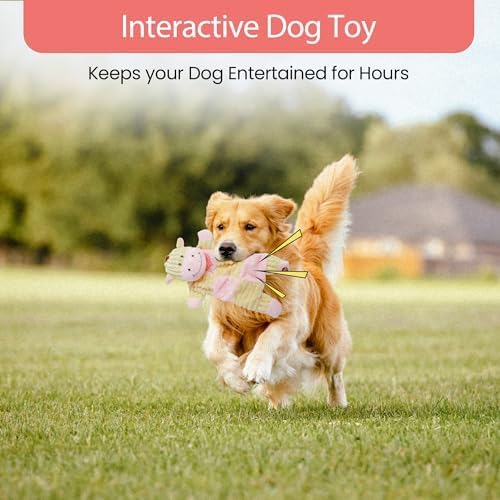 SPOT Soothers- Crinkle Paper Dog Toy-Separation Anxiety Toys for Dogs, Stuffing Free, Scented with Calming Lavender Fragrance Beads to Safely Calm & Relax Dogs and Puppies, 13in