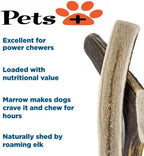 Pets Plus Split Antler Chews for Dogs – 6 Inch, Medium, 2-Pack – Natural Deer Antlers, Long-Lasting Dog Chew Bones, Odor-Free, for Aggressive Chewers & Dental Health