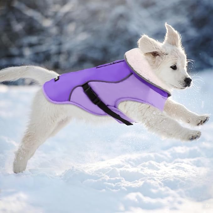 EMUST Dog Coat Winter, Warm Pet Snow Jacket for Winter, Adjustable Small/Medium/Large Dog Coat, New Purple, L