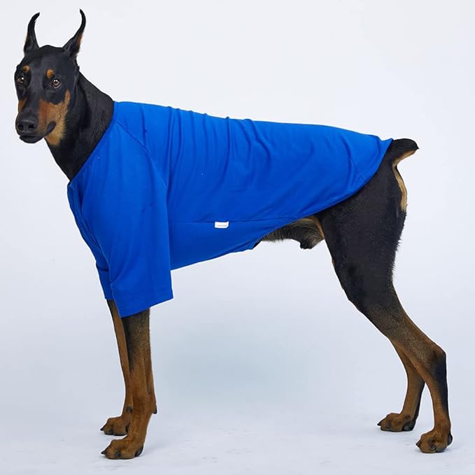 Dog Shirt for Small Dogs Plain T-Shirts Soft Breathable Dog Cotton Shirt pet Clothes (5X-Large, Blue)