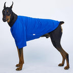 Dog Shirt for Small Dogs Plain T-Shirts Soft Breathable Dog Cotton Shirt pet Clothes (2X-Large, Blue)