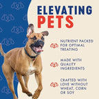 Finley's Peanut Butter & Pumpkin Dog Biscuit Treats, All Natural, Limited Ingredient Dog Treats, 12 Ounce (Pack of 1)