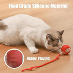 2 Packs New Electric Dog Ball Toy for Cat,360° Smart Automatic Interactive Rolling Dog Smart Pet Toy Ball,Gift for Kids