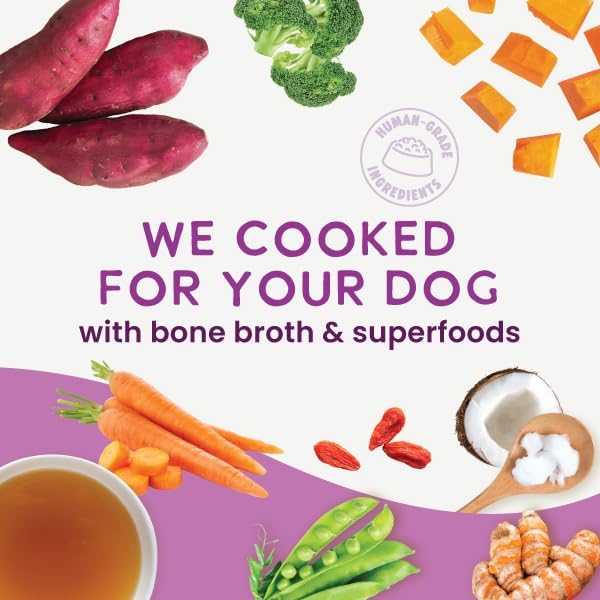 Health Extension Gently Cooked Grain-Free Vegetarian Formula Dog Food, Human-Grade & Shelf-Stable with Superfoods, Supports Digestion, Immunity, Skin & Coat, 3 oz Pouch (Pack of 10)