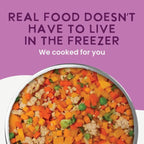 Health Extension Gently Cooked Grain-Free Vegetarian Formula Dog Food, Human-Grade & Shelf-Stable with Superfoods, Supports Digestion, Immunity, Skin & Coat, 3 oz Pouch (Pack of 10)