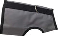 Kitty Holster Cat Harness – Secure Cat Harness for Walking, Soft Cotton Cat Accessories, Comfortable Fit, Strong Hook-and-Loop Closure, Made in USA – Gray, S/M