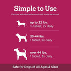 Vetality Stop The Runs | Dog Anti Diarrhea Medicine | 6 Count Chewable | Chicken Flavor