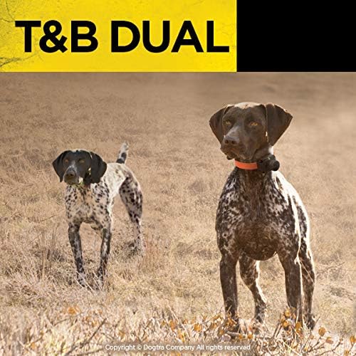 Dogtra T&B Dual Dial 2-Dogs Remote Training and Beeper Collar - 1.5-Mile-Long Range, Sports Upland Hunting, Fully Waterproof, Rechargeable, Static, Locate - Includes PetsTEK Trainer Clicker