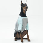 Dog Shirt for Small and Large Dogs Raglan Cotton T-Shirts Soft Breathable Dog Shirts pet Clothes Gray Series (2X-Large, Gray/Mint)