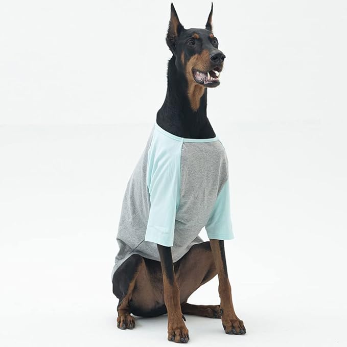 Dog Shirt for Small and Large Dogs Raglan Cotton T-Shirts Soft Breathable Dog Shirts pet Clothes Gray Series (4X-Large, Gray/Mint)