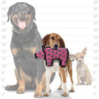 TUFFY -World's Tuffest Soft Dog Toy- Zoo Jr Bear & Jr Pig- Combo Pack- Squeaker -Multiple Layers. Made Durable, Strong & Tough. Interactive Play(Tug, Toss & Fetch).Machine Washable & Floats.