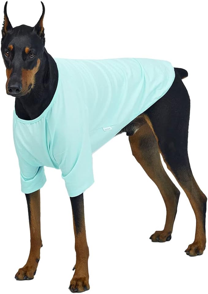Dog Shirt for Small Dogs Plain T-Shirts Soft Breathable Dog Cotton Shirt pet Clothes (2X-Large, Mint)
