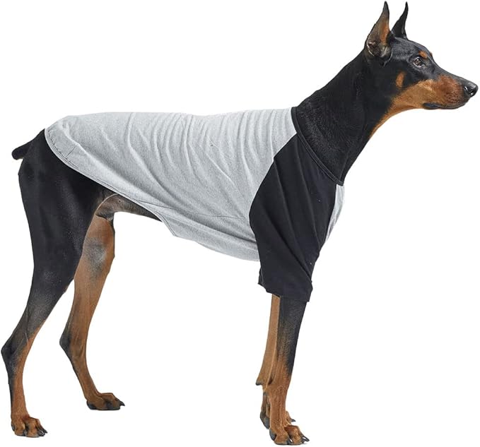 Dog Shirt for Small and Large Dogs Raglan Cotton T-Shirts Soft Breathable Dog Shirts pet Clothes Gray Series (3X-Large, Gray/Black)