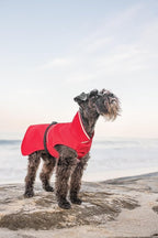 Goldpaw Rainpaw Waterproof Dog Raincoat - Durable Dog Rain Jacket for All Seasons - Easy to Wear, Adjustable, Premium Pet Outerwear - Made in The USA - Machine Washable - Pink - Size 8