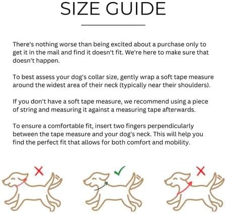 Two Tails Pet Company Cactus Vegan Leather Dog Collar, Adjustable Pet Collar with Gold Hardware and D Rings for Leash and ID Tag for Dogs and Puppies, Easy to Clean & Eco Friendly, Green, Size Medium