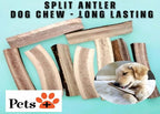 Pets Plus Split Antler Chews for Dogs – 6 Inch, Medium, 2-Pack – Natural Deer Antlers, Long-Lasting Dog Chew Bones, Odor-Free, for Aggressive Chewers & Dental Health