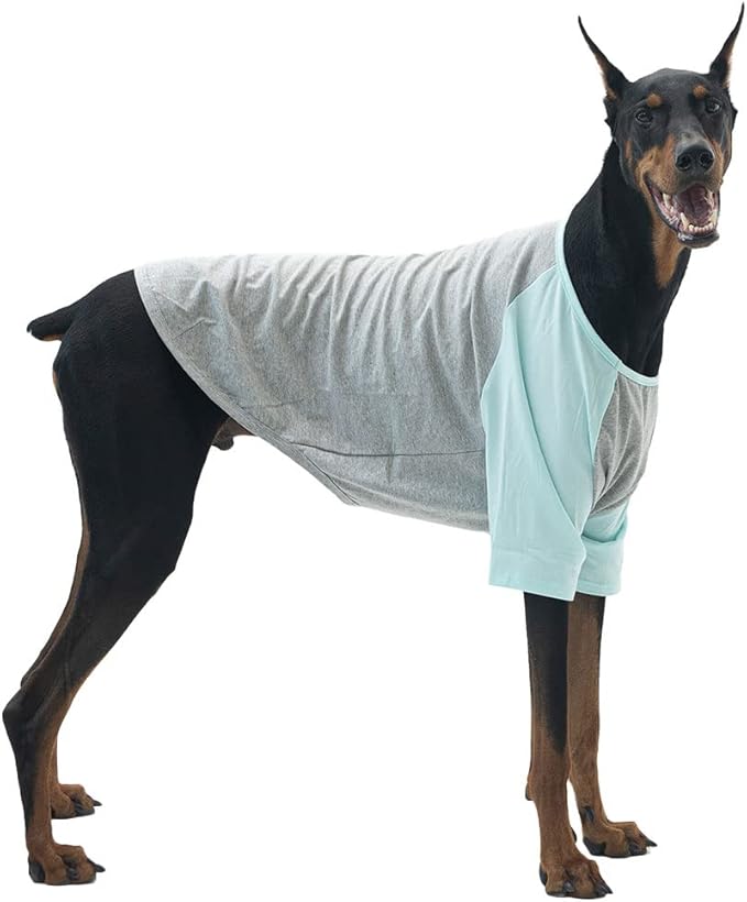 Dog Shirt for Small and Large Dogs Raglan Cotton T-Shirts Soft Breathable Dog Shirts pet Clothes Gray Series (2X-Large, Gray/Mint)
