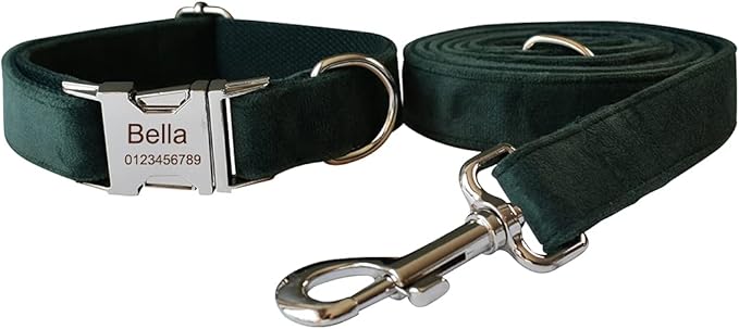 Dog Collar Custom Personalized Engraved Name and Phone Number for Puppy Small Medium Large Pets (XL, Green)