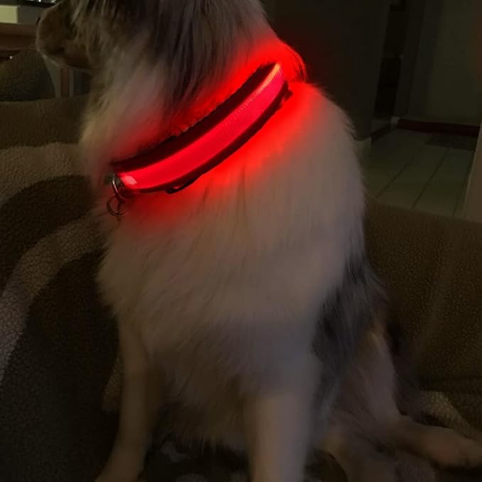 MASBRILL Light Up Dog Collars-LED Dog Collar Rechargeable Waterproof Lighted Dog Collar Night Walking Glow Collar for Small Medium Large Dogs