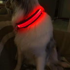 MASBRILL Light Up Dog Collars-LED Dog Collar Rechargeable Waterproof Lighted Dog Collar Night Walking Glow Collar for Small Medium Large Dogs
