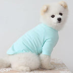 Dog Shirt for Small Dogs Plain T-Shirts Soft Breathable Dog Cotton Shirt pet Clothes (Medium, Mint)