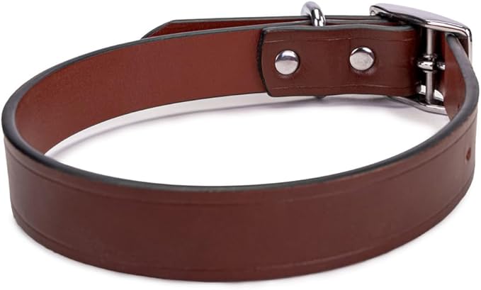 King Buck Leather Dog Collar with D Ring, Leather, Meduim