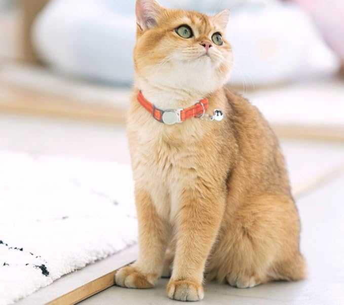Reflective Cat Collar with Bell, Safety Soft Nylon Breakaway Kitten Collar with Bells, Tiny Puppy Collars for Xs Small Dogs, Neck 7-11 Inch Dark Purple