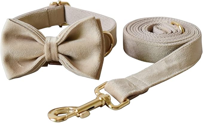 Dog Collar Custom Personalized Engraved Name and Phone Number for Puppy Small Medium Large Pets (XL, Nude)