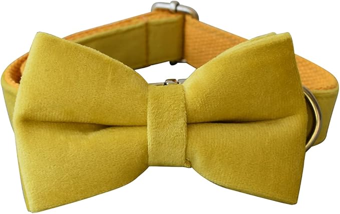 Dog Collar Custom Personalized Engraved Name and Phone Number for Puppy Small Medium Large Pets (L, Yellow)