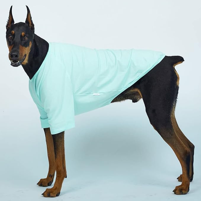 Dog Shirt for Small Dogs Plain T-Shirts Soft Breathable Dog Cotton Shirt pet Clothes (X-Large, Mint)