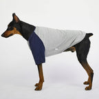 Dog Shirt for Small and Large Dogs Raglan Cotton T-Shirts Soft Breathable Dog Shirts pet Clothes Gray Series (3X-Large, Gray/Navy)