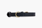 Two Tails Pet Company Cactus Vegan Leather Dog Collar, Adjustable Pet Collar with Gold Hardware and D Rings for Leash and ID Tag for Dogs and Puppies, Easy to Clean & Eco Friendly, Black, Size Medium