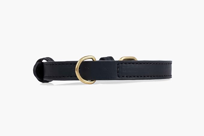 Two Tails Pet Company Cactus Vegan Leather Dog Collar, Adjustable Pet Collar with Gold Hardware and D Rings for Leash and ID Tag for Dogs and Puppies, Easy to Clean & Eco Friendly, Black, Size Medium