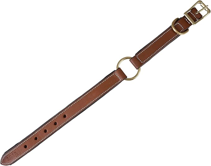 | Genuine Leather Adventure Dog Collar | Full Grain, Heavy Duty | with Inner Cushioned Padding | Best for Medium, Large & XL Dogs (X-Large (Fit Neck Size 22"-26"), Brown with Center O Ring)