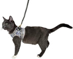 Travel Cat Harness and Leash Set - Adjustable Fit Mesh Cat Harness and Reflective Strap - Comfort Walking Vest for Kitten for Outdoor Walking, Hiking (Large, Cashcat)