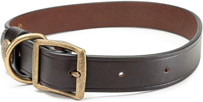 King Buck Premium Leather D Ring Dog Collar, Leather, M/L
