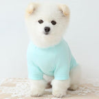 Dog Shirt for Small Dogs Plain T-Shirts Soft Breathable Dog Cotton Shirt pet Clothes (X-Small, Mint)