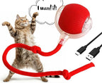Automatic Ball for Small Dogs & Cats - Activated Moving Toy, Rechargeable, Self Play, Ball Toy with Long Tail Teaser