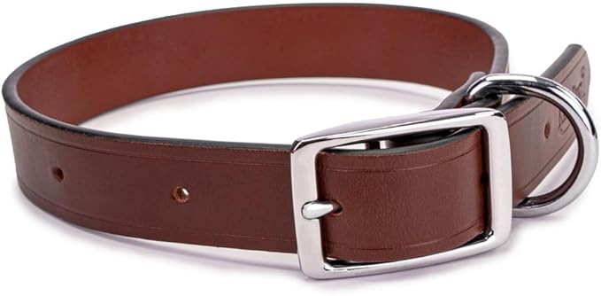 King Buck Leather Dog Collar with D Ring, Leather, Small