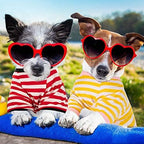 Geyoga 6 Pieces Dog Striped T-Shirt Cotton Breathable Pet Apparel Colorful Puppy Sweatshirt Clothes for Small to Medium Dogs Puppy(M)