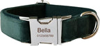 Dog Collar Custom Personalized Engraved Name and Phone Number for Puppy Small Medium Large Pets (M, Green)